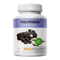 MycoMedica Polyporus 90 rastlinných kapsúl
