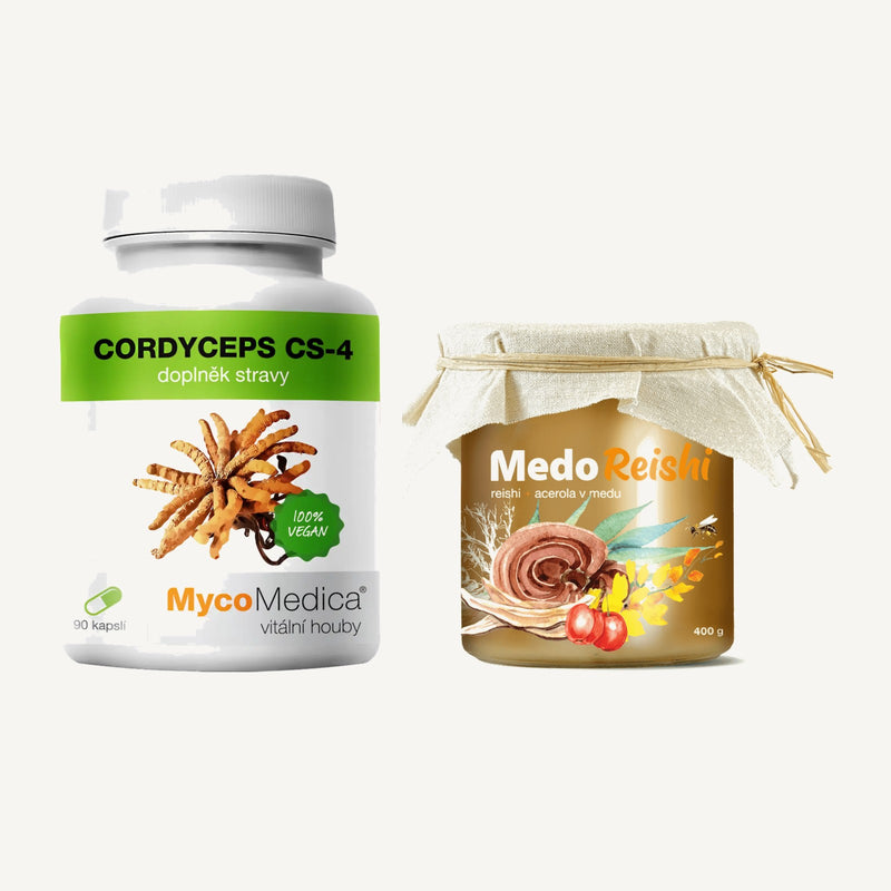set-cordyceps-cs4-medoreishi