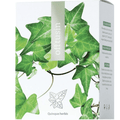 Energy Offtusin 60 tabliet 