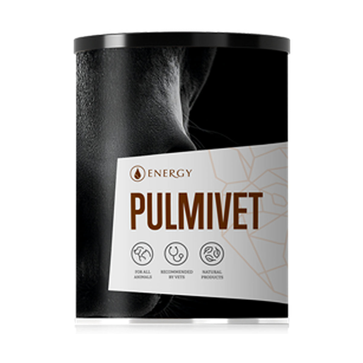 Energy Pulmivet