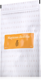 Energy Maytenus Ilicifolia 105 g