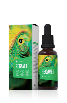 Energy Regavet 30 ml