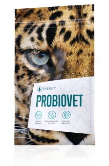 Energy Probiovet 90 tabliet