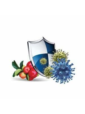 Mycomedica BetaGlukan BIOcell 90 rastlinných kapsúl