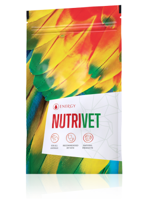 Energy Nutrivet 90 tabliet