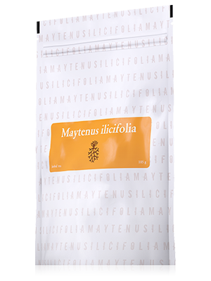 Energy Maytenus Ilicifolia 105 g