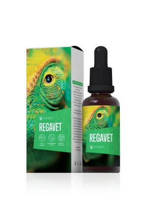 Energy Regavet 30 ml