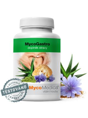 Mycomedica MycoGastro 90 g prášku (30 dávok)