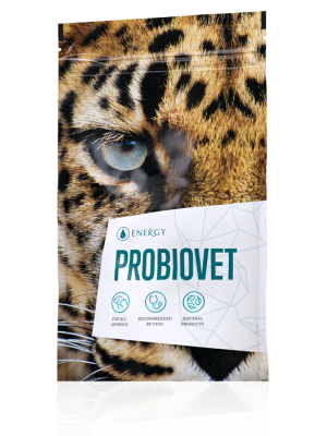 Energy Probiovet 90 tabliet