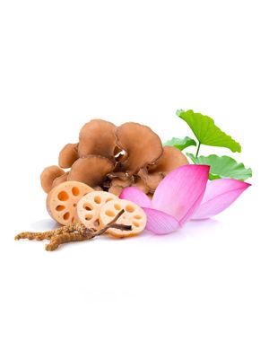 MycoMedica MycoSlim 90 rastlinných kapsúl